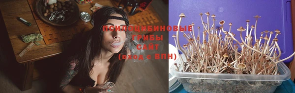 ECSTASY Алексеевка