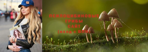 сатива Алзамай