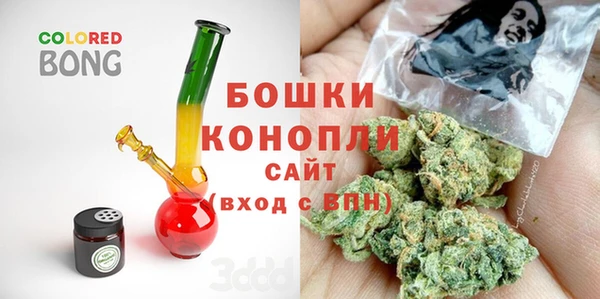 сатива Алзамай