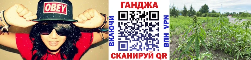 shop как зайти  цены наркотик  Бабаево  Конопля планчик 
